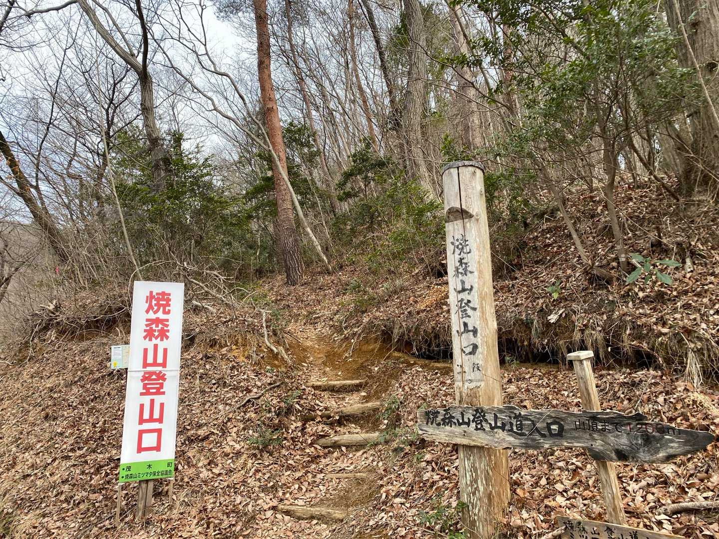 いい里さかがわ館-焼森山登山口-ミツマタの小径入口-鶏足山 往復コースの写真