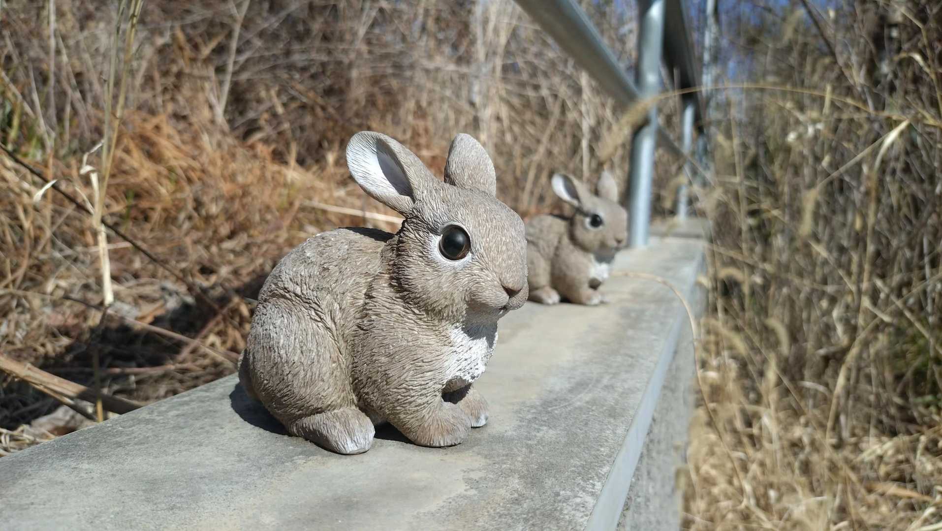 助戸東山-尻無山 縦走コースの写真