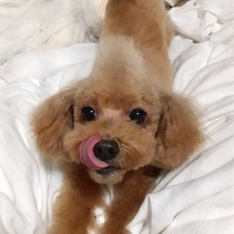 やす