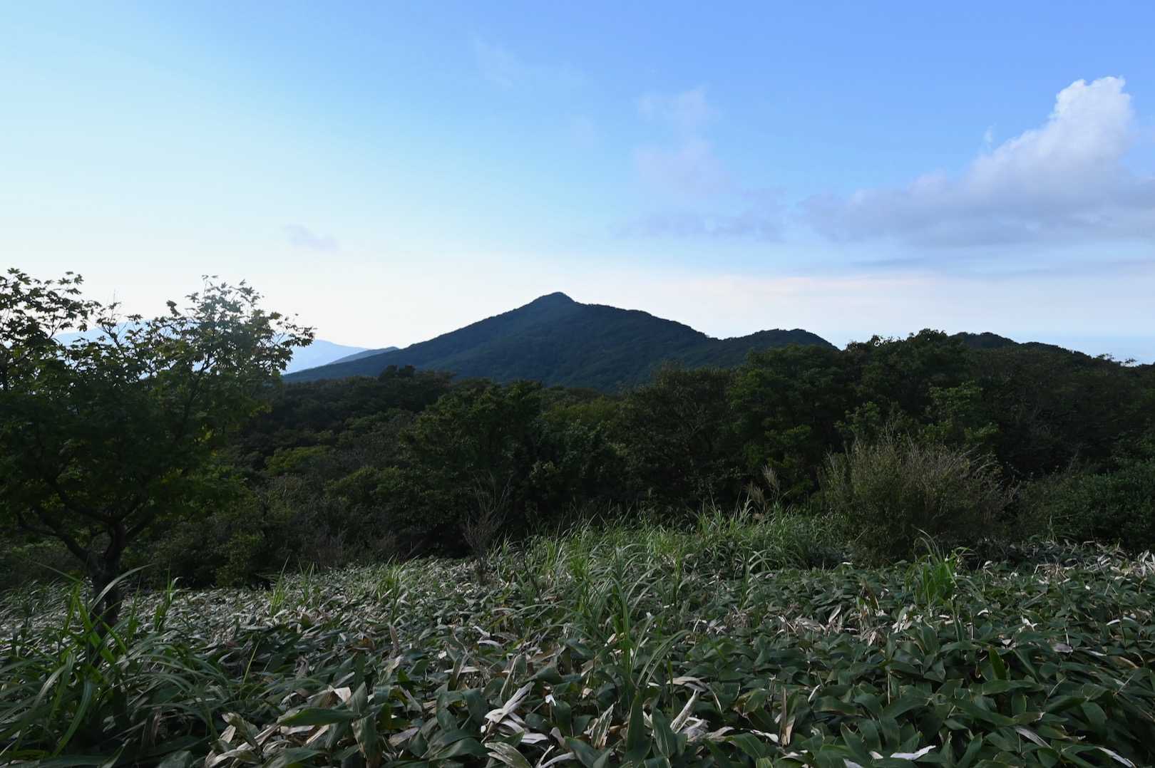 金山の写真