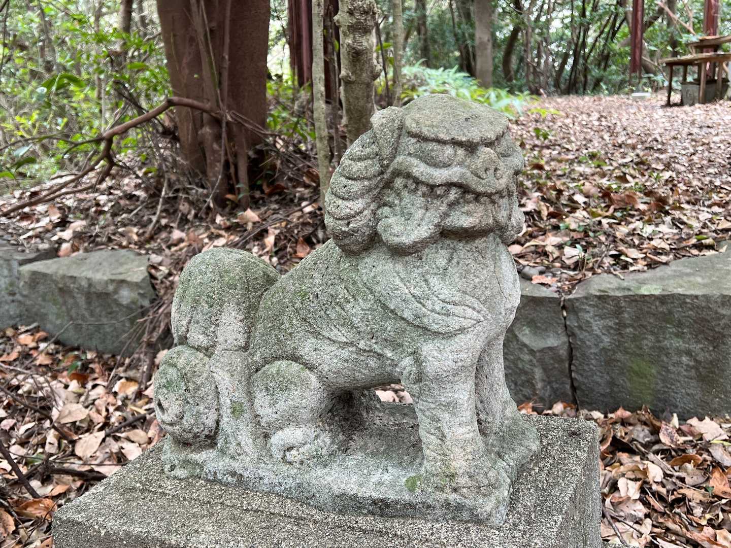 鳥居も狛犬もしっかりある☺️
この狛犬さん、初めて見る顔🤩
後ろから見たら羊の角っぽい😅