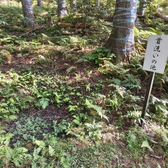 中川清秀の首を洗った池らしい🙏