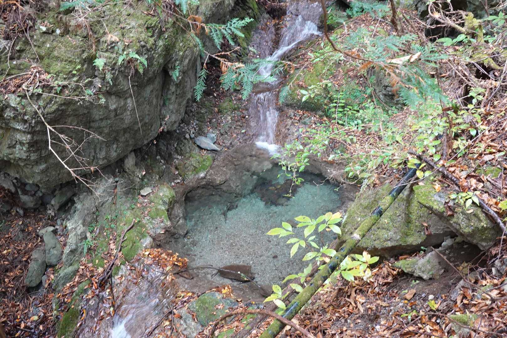 序盤は沢沿いを進みます