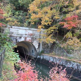 疎水の第２トンネル入口に出てきました