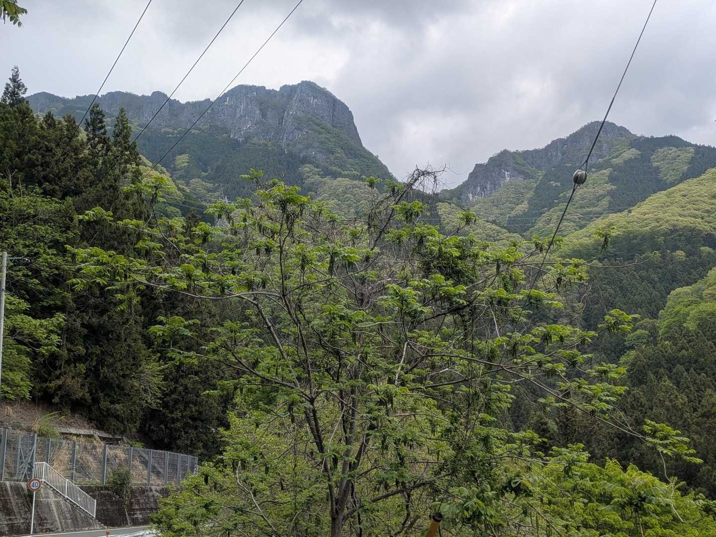 今回登った二子山。右側東岳で左が西岳。西岳のあの尾根をずーっと歩きました😄
