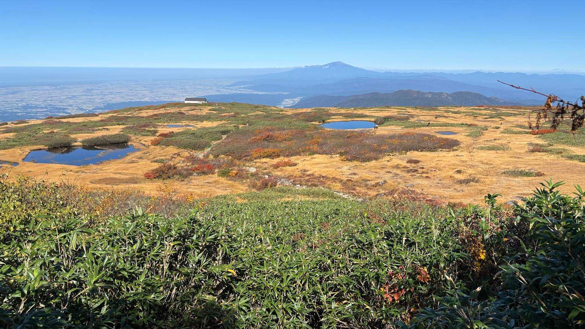 月山八合目往復 | 夏は残雪と花の楽園、秋は黄金に染まる草紅葉、四季折々の魅力の写真