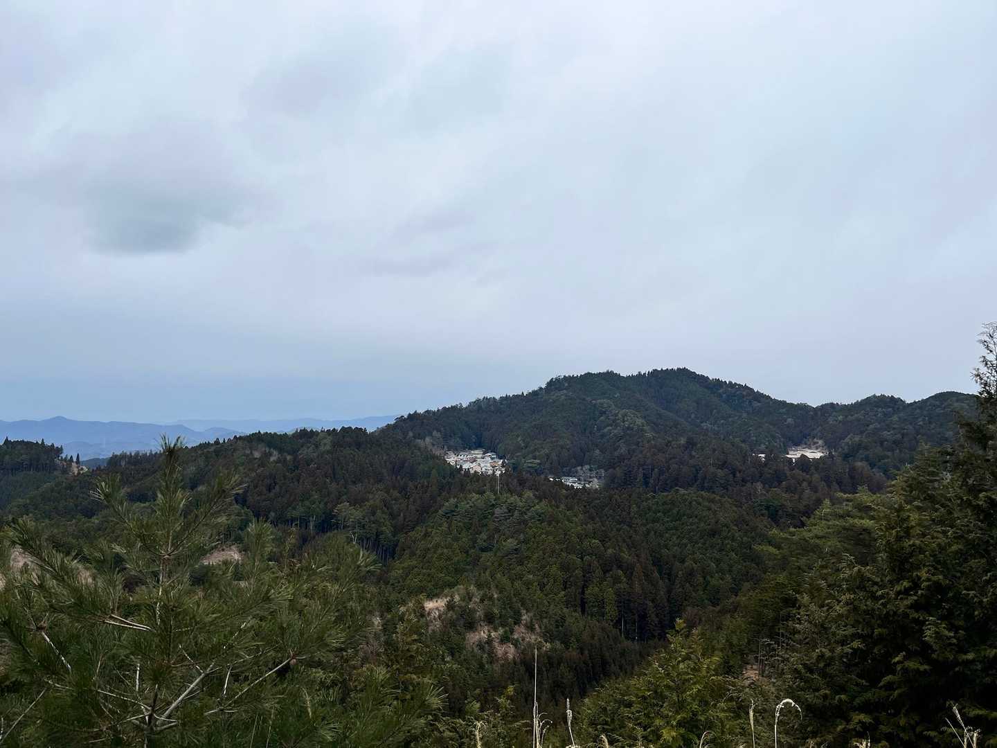 摩尼峠-摩尼山-黒河峠-楊柳山-子継峠-転軸山-女人堂-弁 周回コースの写真