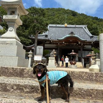 神呪寺、立派なお寺でした