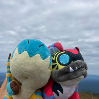 やったぞー！