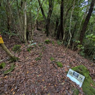 馬の背到着