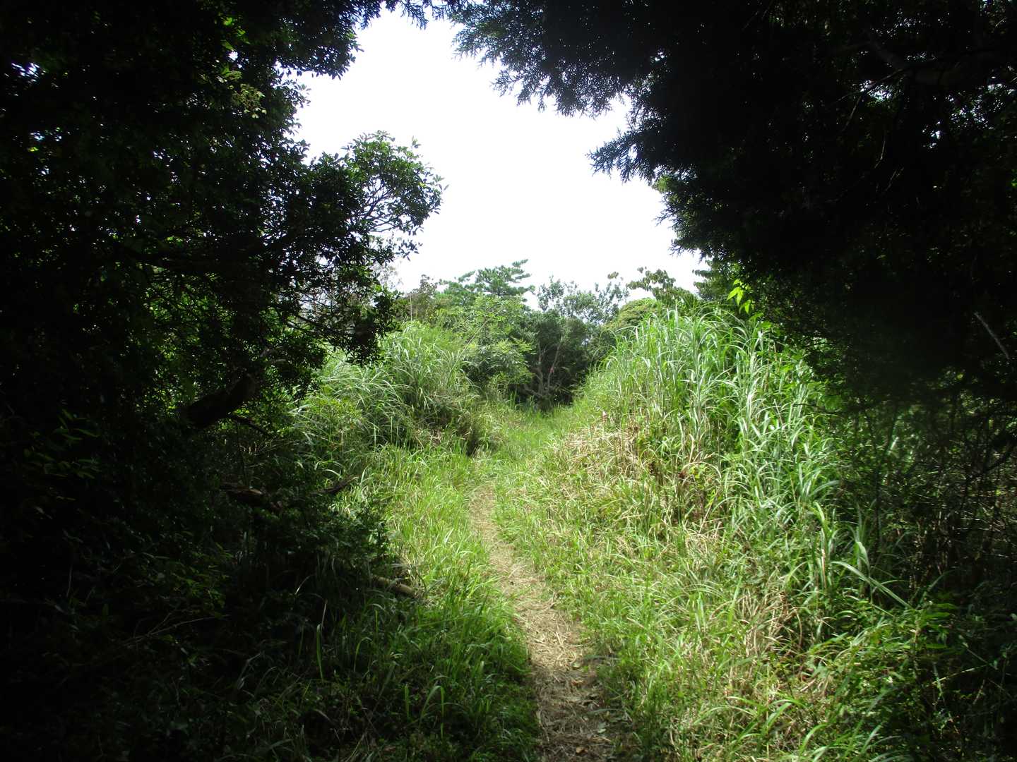 萌の里-俵山 往復コースの写真