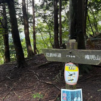 薄暗いアラキ峠を抜け🚶‍♀️