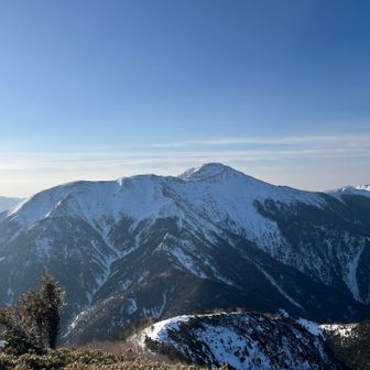 何回も見てしまう