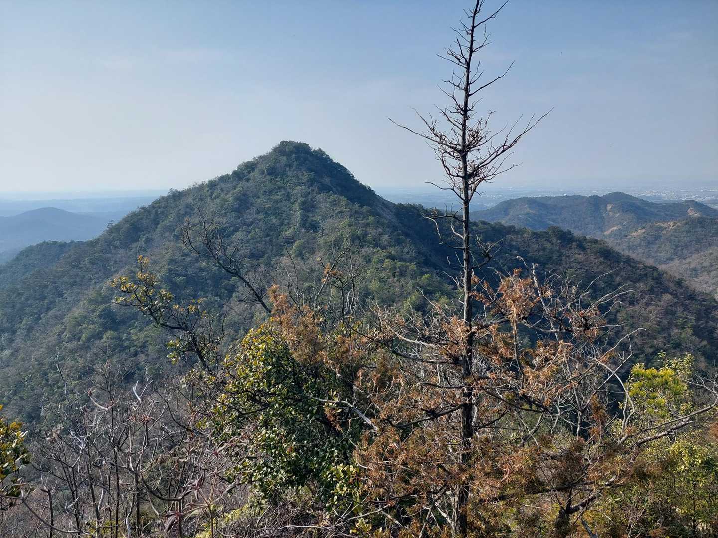 登山道変わってもついてきてくれてる景色は変わらず😍