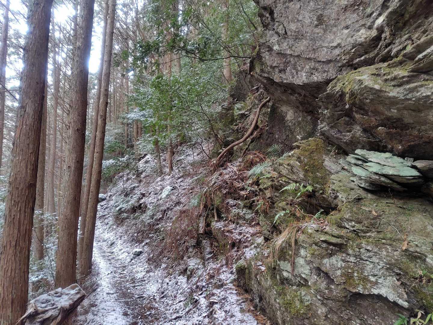 何回来ても良い山