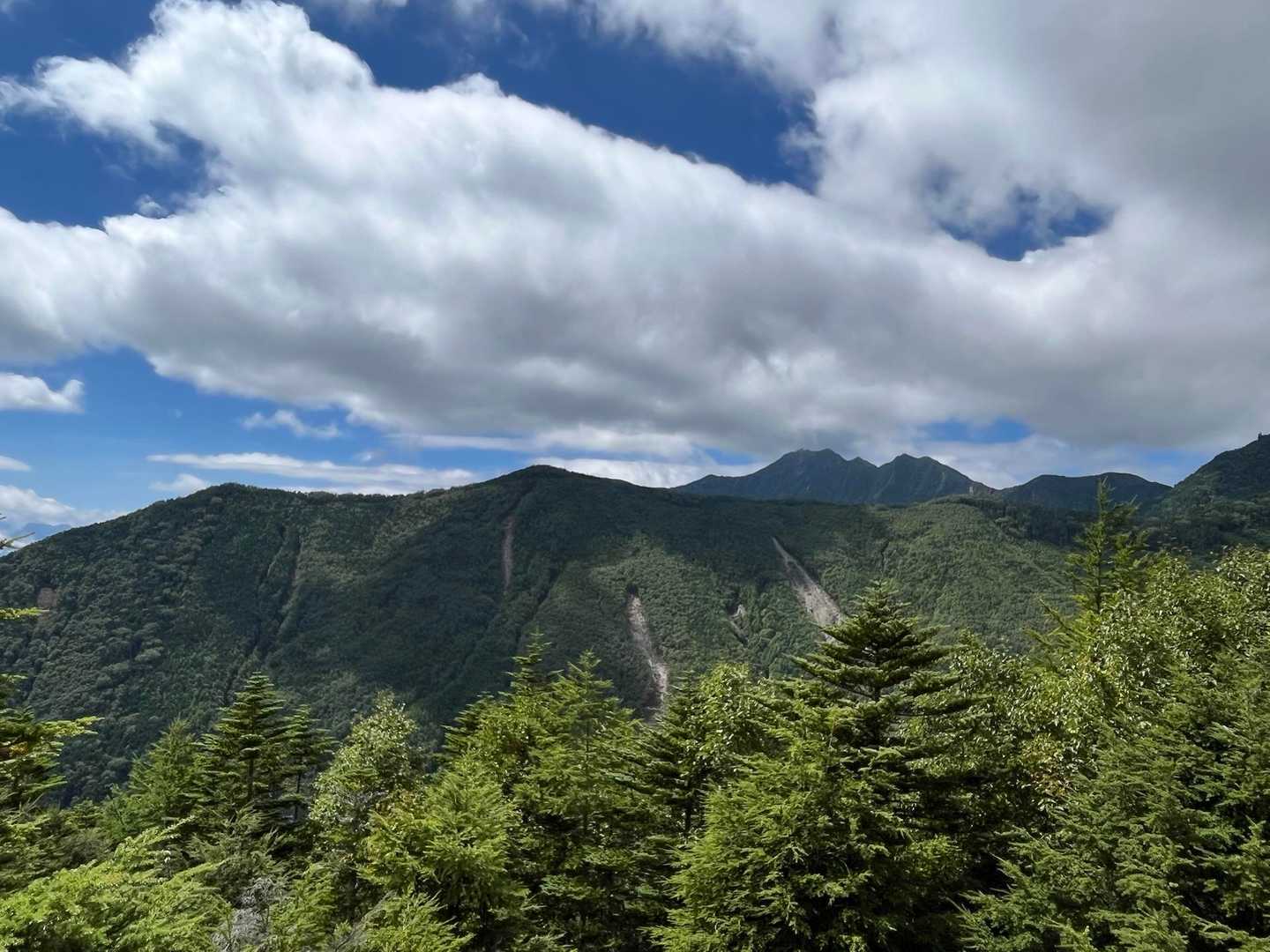 登りで歩いた真教寺尾根、の牛首山〜扇山のあたりの緩やかなトレイルのとこだ