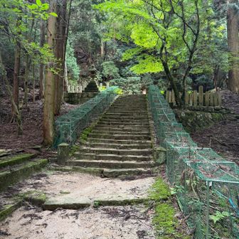 階段登って・・・