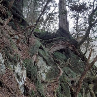 たまりません～