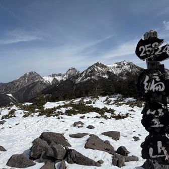 頂上はこんな感じです。