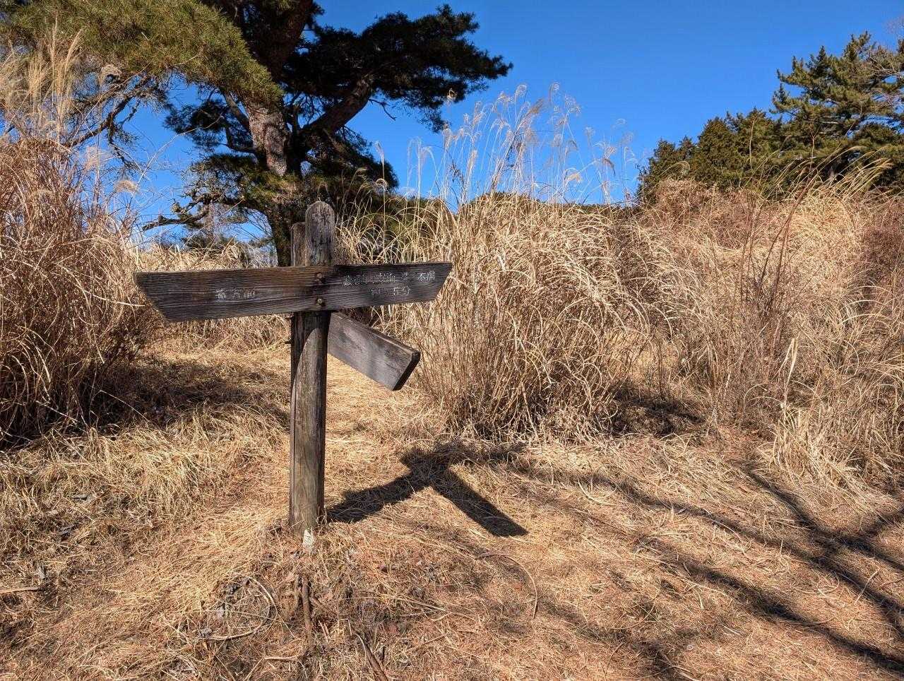 櫟山の山頂