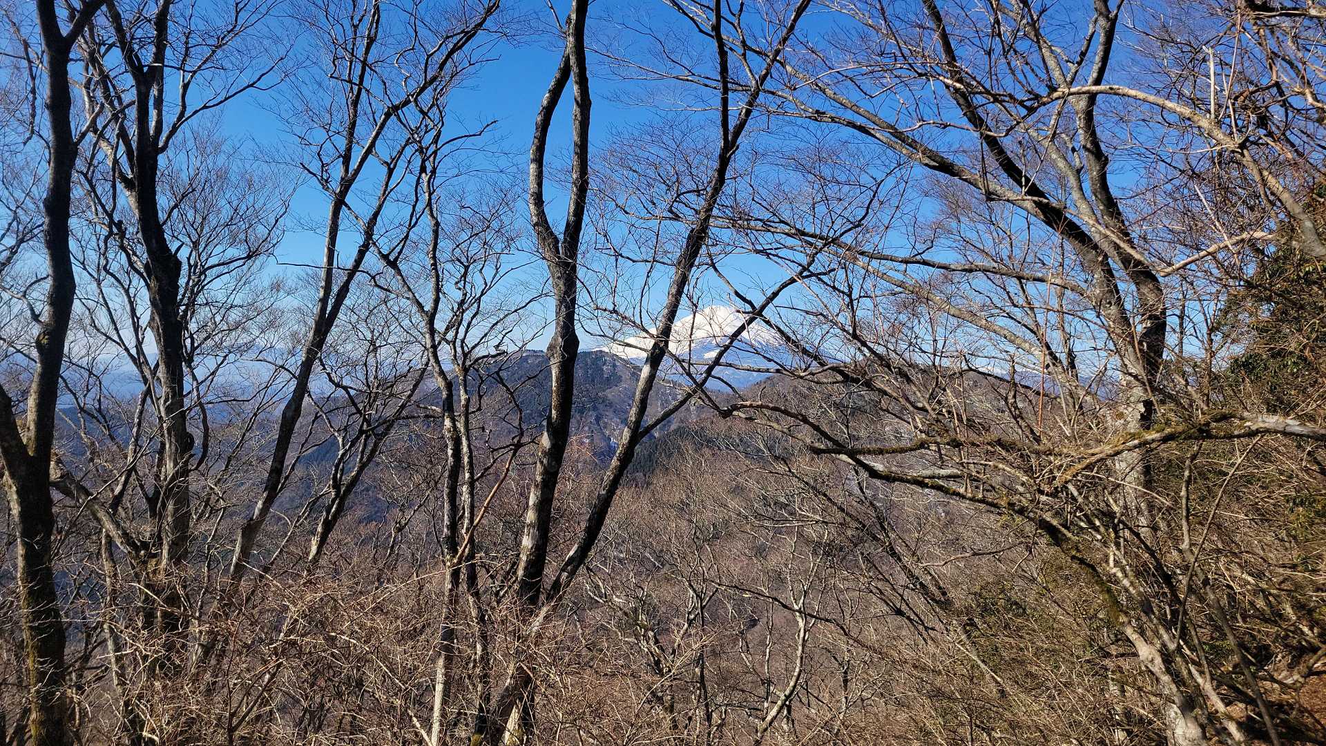 ずっと見えなかった富士山が、このへんでやっと顔を出してくれます😊