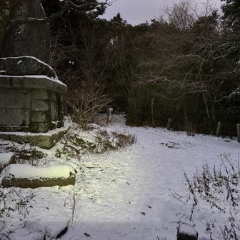 おー、ここは少し多め