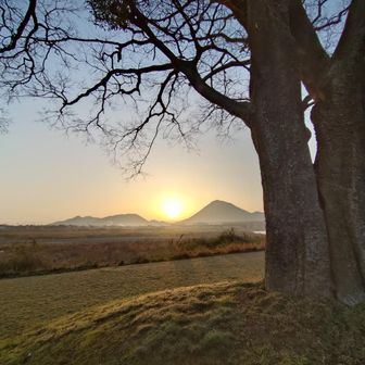 むじか・えーる