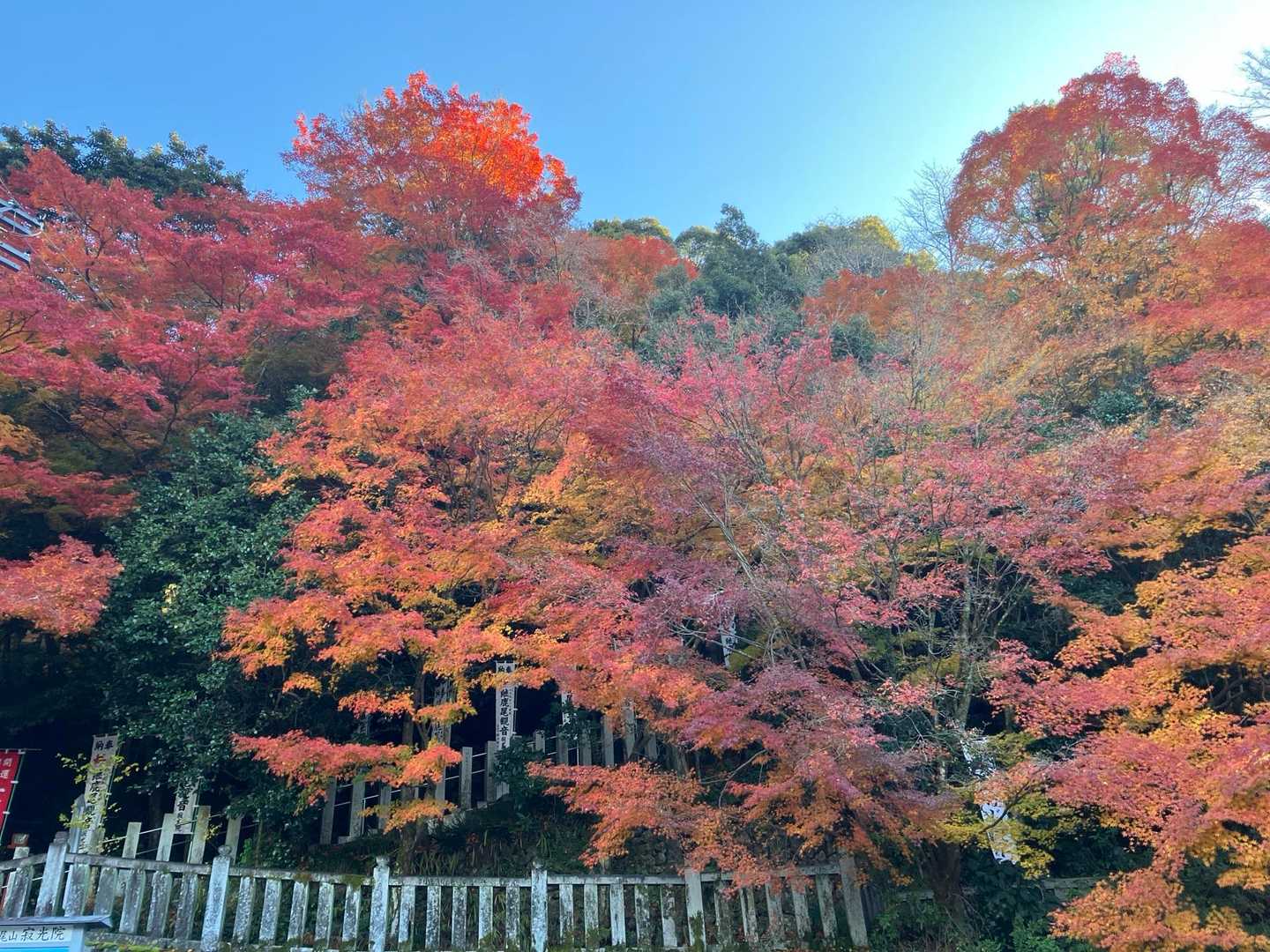 寂光院-継鹿尾山 往復コースの写真