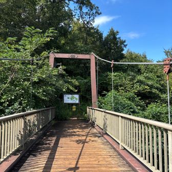 吊り橋あり