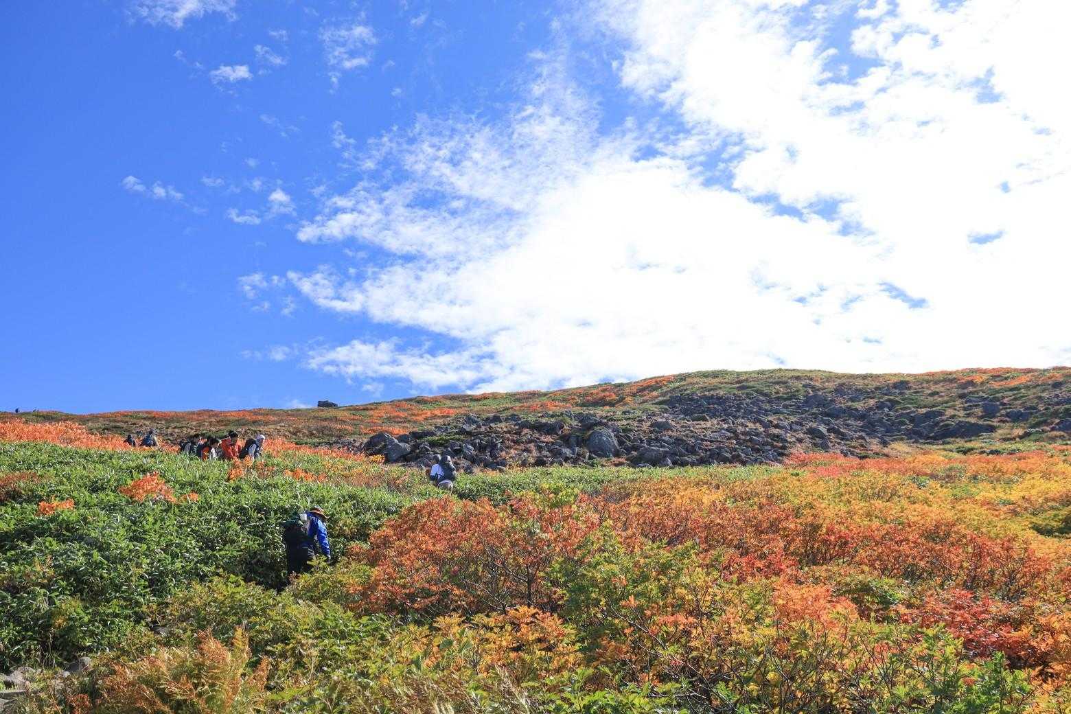 山頂への道も、色とりどり💛🧡♥️