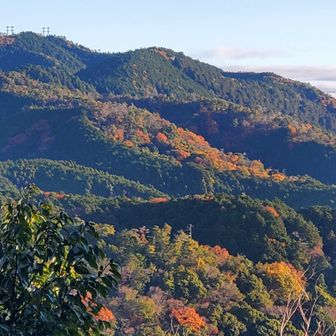 日が差し始めて紅葉がきれいに観れました