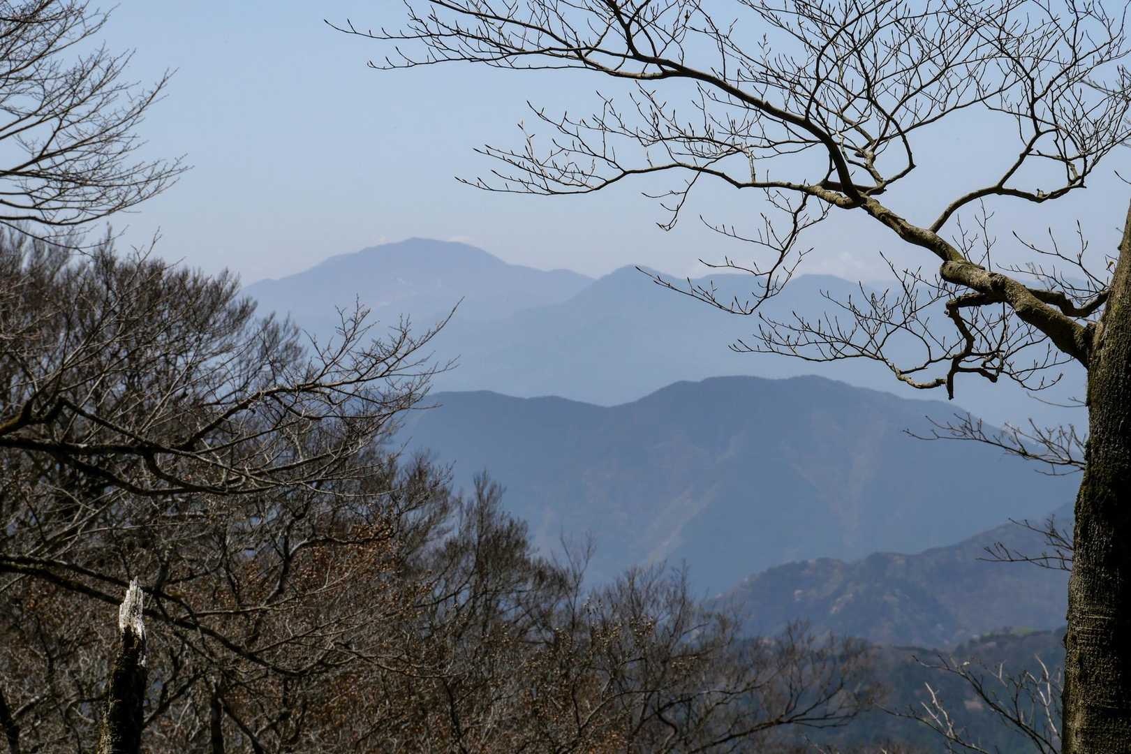 かすみながらも箱根の山々も🤗