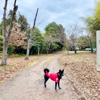 駐車場に戻りました🅿️
さすが人気のお山🎵見どころ多く楽しかったです
ありがとうございました💕