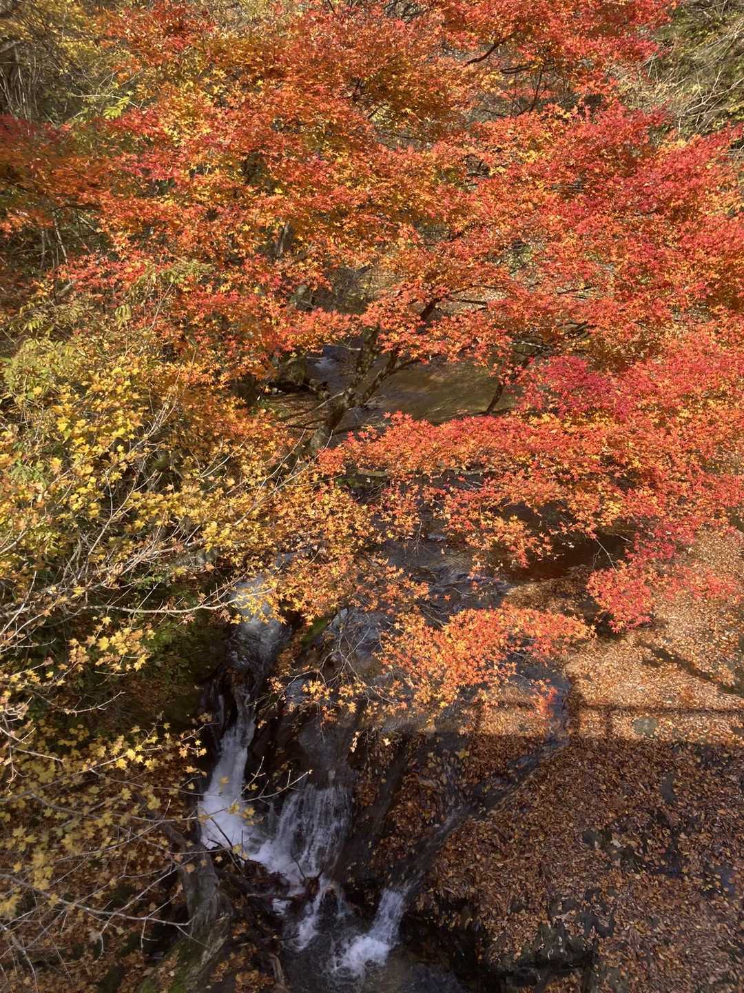 三方倉山 周回コースの写真