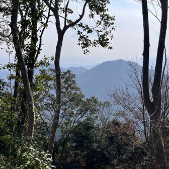 山頂の南側、今日の昼頃はモヤっていて、瀬戸内海や瀬戸大橋はみえず