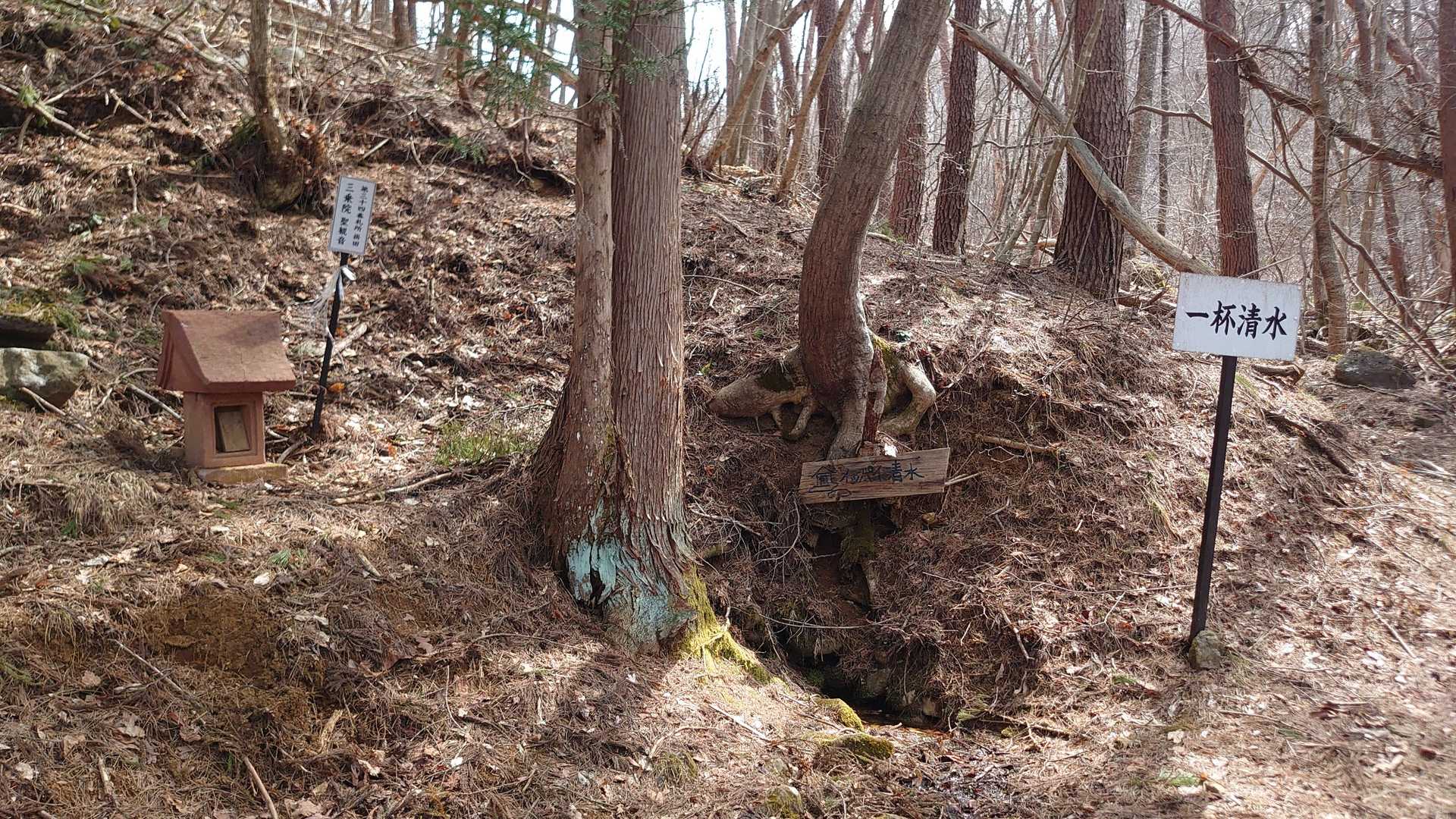 ホンマにすぐそこやった🤣