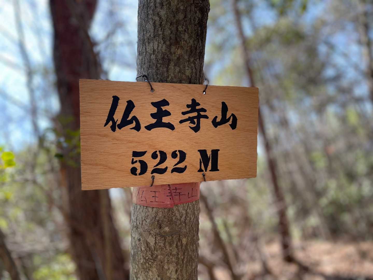 悶々と考えてたら山頂着いた😅

LEMONさんも、昨日ここ登られてて、
タイムリーでビックリ‼️
河津原の桜も一緒😆
以心伝心したのかなぁ👽