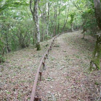 さあ周回コースなので奥へ