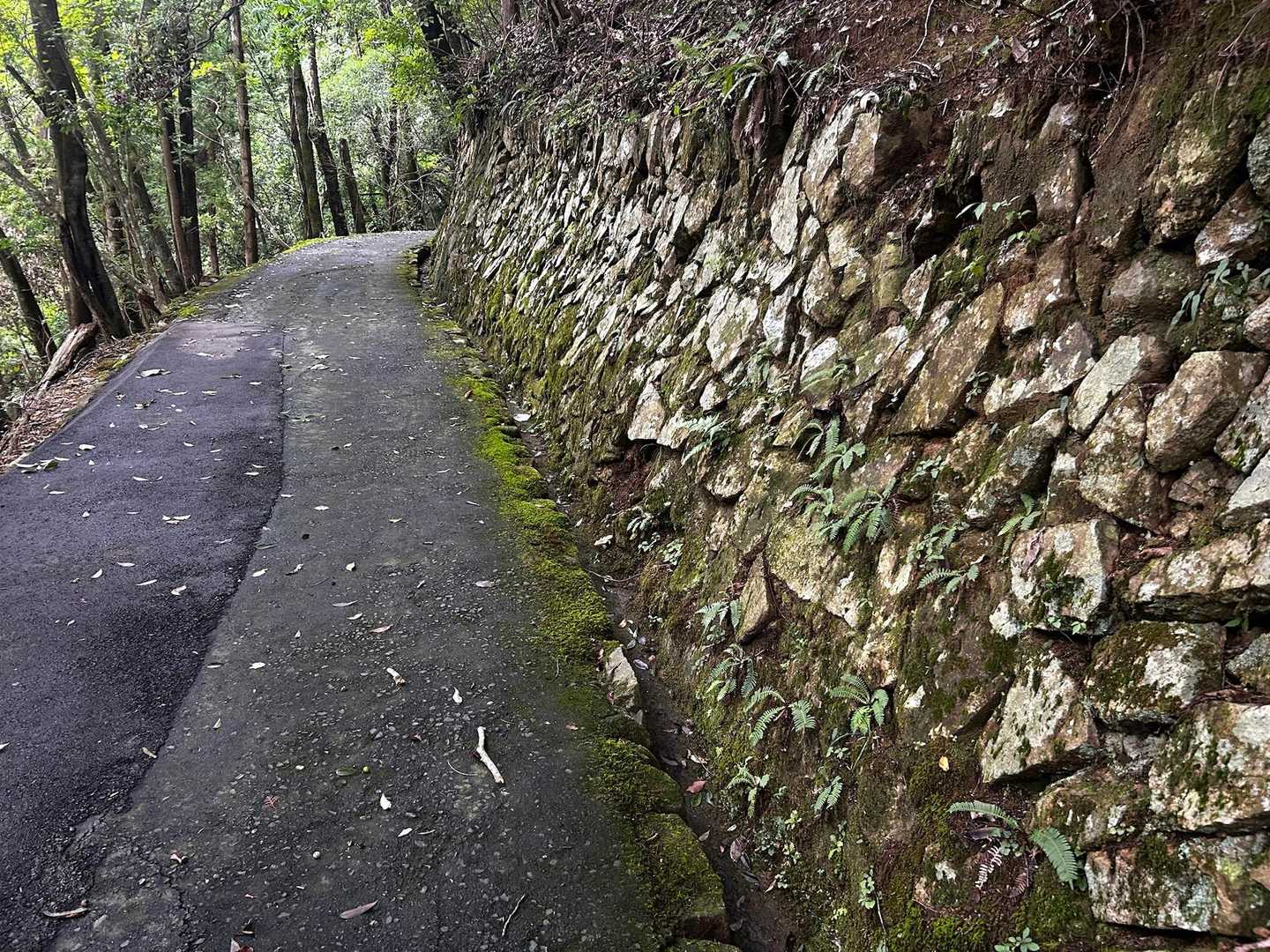 墓所までは舗装路
石垣も残ってます！