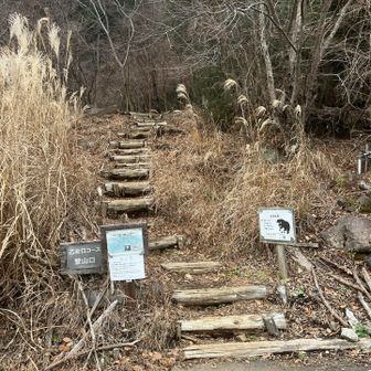 降りてきた乙女口コース登山口