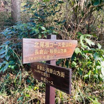 今日は駐車場から一番近い登山口から🚶‍♀️