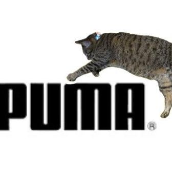 ともちんスープ