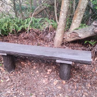 除去しました。