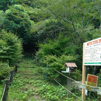 で…入山🐾からの〜クモの巣🕸️
もしかして…藪ってるのかぃ…👀??
