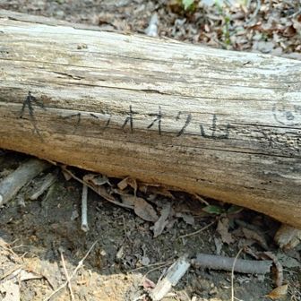 これが無かったら登り口がわからなかった