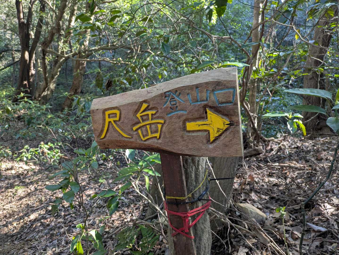 平尾台の桶ヶ辻の山頂標識の雰囲気に似てる道標です