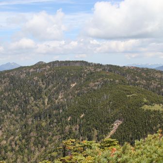 正面に根名草山方面。
肉眼では念仏平避難小屋も見える。