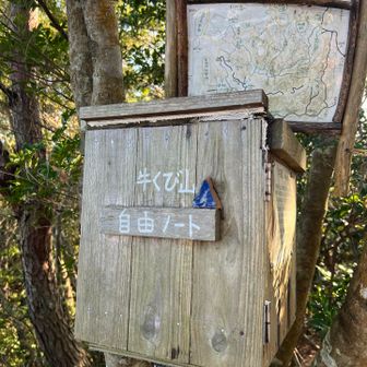 おみくじがなくなってる😢