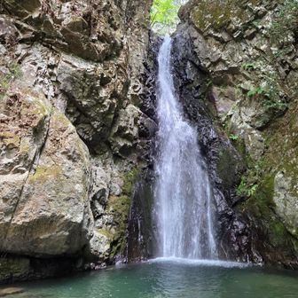 こんなに雨降ってないのに、水量豊富。