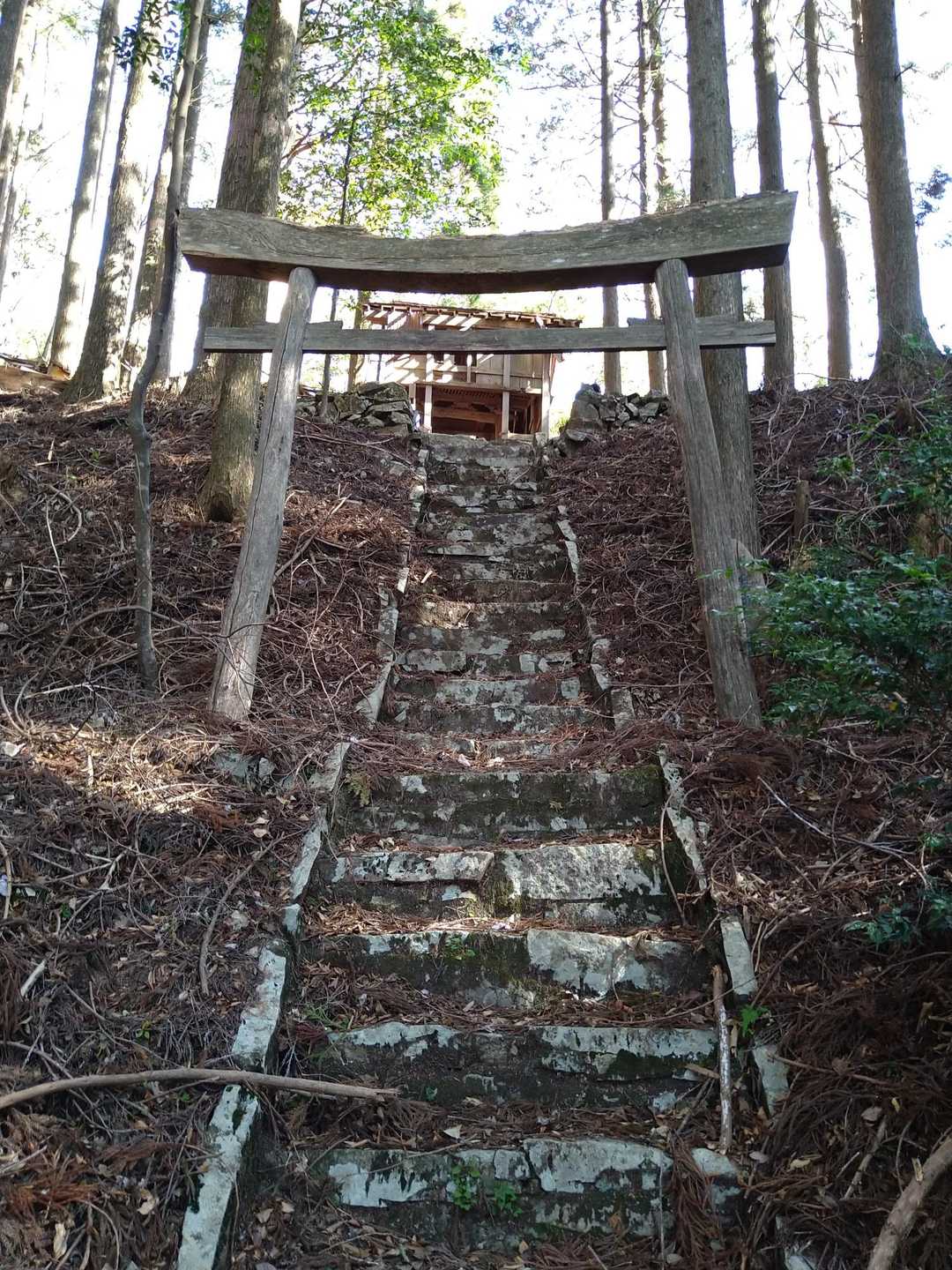 杉ヶ越大明神!